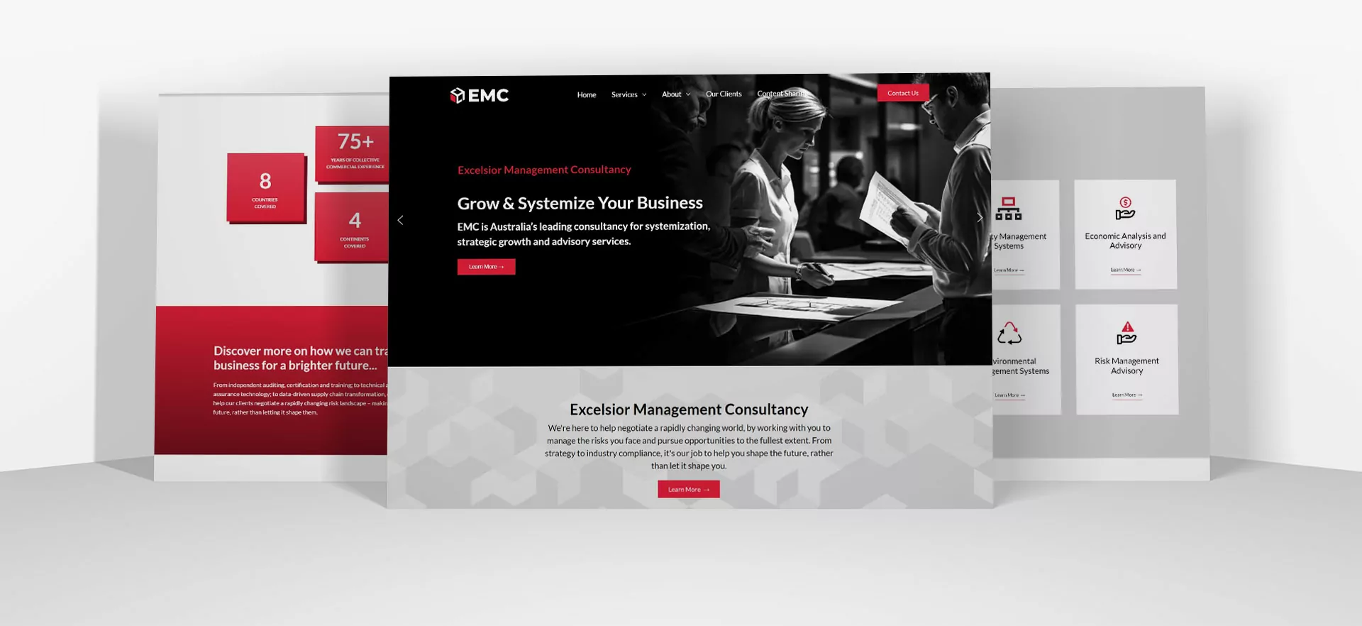 Excelsior Management Consultancy